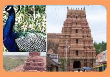 Pudukottai