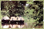 Backwater, Kerala Tours & Travels