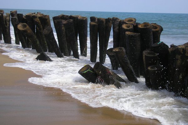 Aurobeach